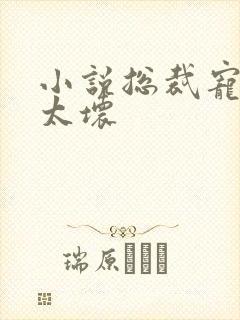 小说总裁宠妻别太坏