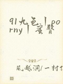 91九色丨porny丨蜜臀