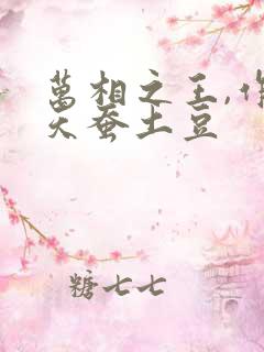 万相之王,作者天蚕土豆