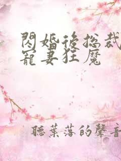 闪婚后总裁成了宠妻狂魔 闪婚后总裁成了宠妻狂魔