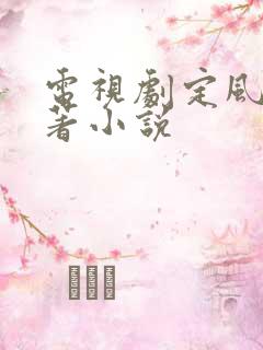 电视剧定风波原著小说