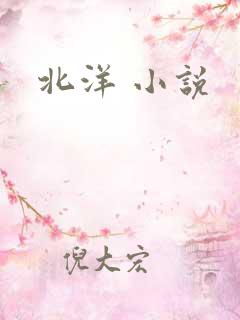 北洋 小说 北洋 小说