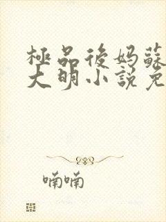 极品后妈苏晴杨大明小说免费阅读