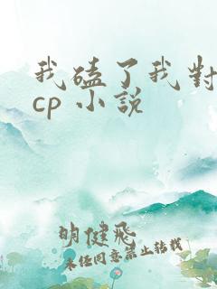 我磕了我对家的cp 小说