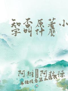 知否原著小说名字叫什么