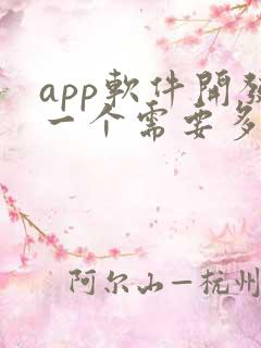 app软件开发一个需要多少价格
