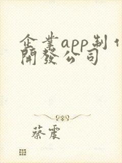 企业app制作开发公司