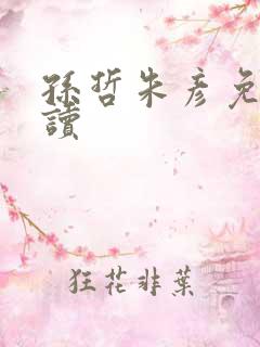 孙哲朱彦免费阅读