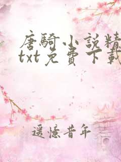 唐骑小说精校版txt免费下载