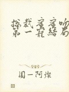 总裁蜜蜜吻甜婚第一宠结局