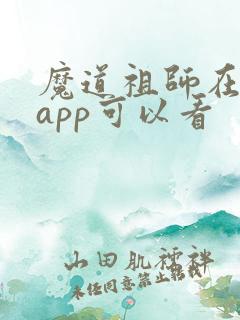 魔道祖师在哪个app可以看