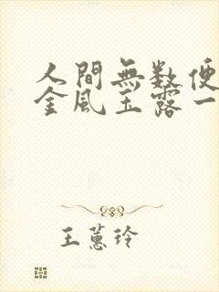 人间无数便胜却金风玉露一相逢什么意思