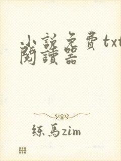 小说免费txt阅读器