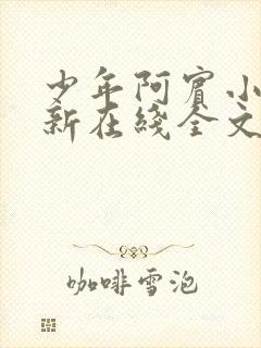 少年阿宾小说最新在线全文阅读