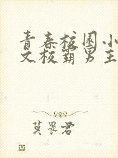 青春校园小说甜文校霸男主