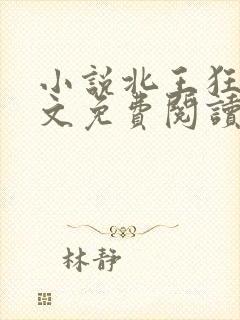 小说北王狂刀全文免费阅读