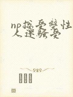 np总受双性万人迷骚受