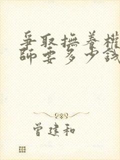 争取抚养权请律师要多少钱