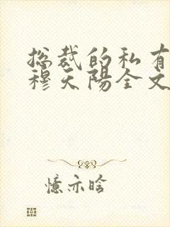 总裁的私有宝贝穆天阳全文阅读