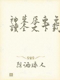 神墓辰东免费阅读全文下载