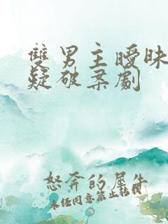 双男主暧昧向悬疑破案剧