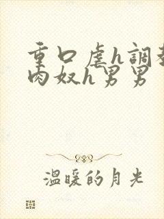 重口虐h调教h肉奴h男男