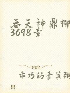 吞天神鼎柳无邪3698章