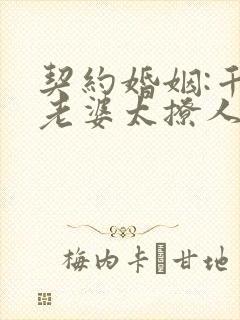 契约婚姻:千亿老婆太撩人沈浪电子书