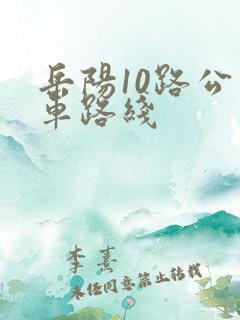 岳阳10路公交车路线