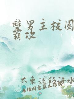 双男主校园文校霸攻