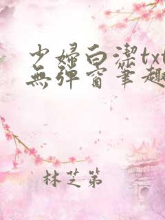 少妇白洁txt无弹窗笔趣阁