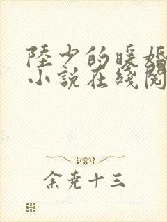 陆少的暖婚新妻小说在线阅读
