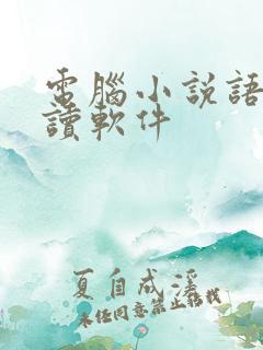 电脑小说语音朗读软件
