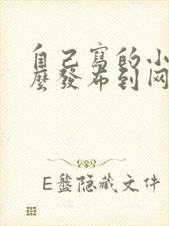 自己写的小说怎么发布到网上赚钱呢