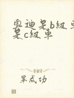 奥迪是b级车还是c级车
