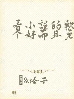看小说的软件哪个好而且免费无广告
