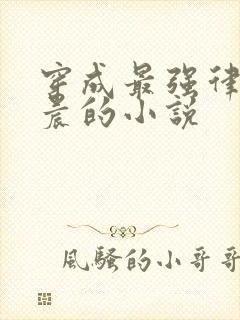 穿成最强律师顾晨的小说 穿成最强律师顾晨的小说