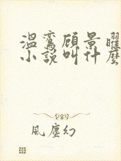 温鸾顾景曜原著小说叫什么名字 温鸾顾景曜原著小说叫什么名字