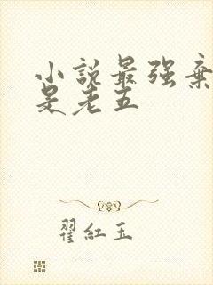 小说最强弃少鹅是老五