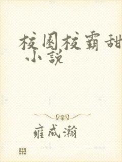 校园校霸甜宠文 小说