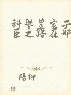 科举农家子的权臣之路在哪里看