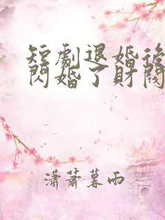 短剧退婚后,我闪婚了财阀大佬