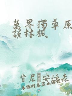 万界独尊原著小说林枫