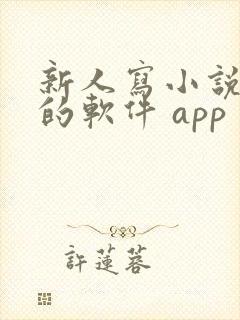 新人写小说赚钱的软件 app