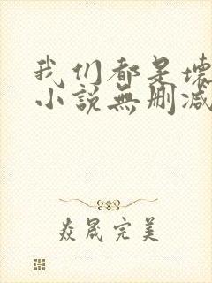 我们都是坏孩子小说无删减正版在线阅读