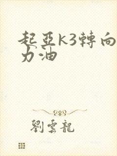 起亚k3转向助力油