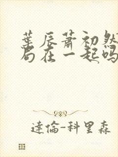 叶辰萧初然大结局在一起吗