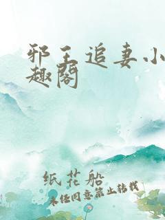 邪王追妻小说笔趣阁