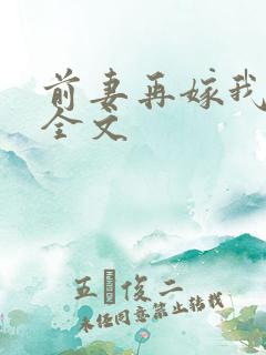 前妻再嫁我一次全文