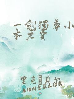 一剑独尊小说全本免费